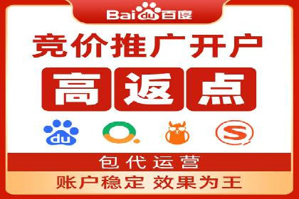 百度推广平台在电商行业的应用成功案例